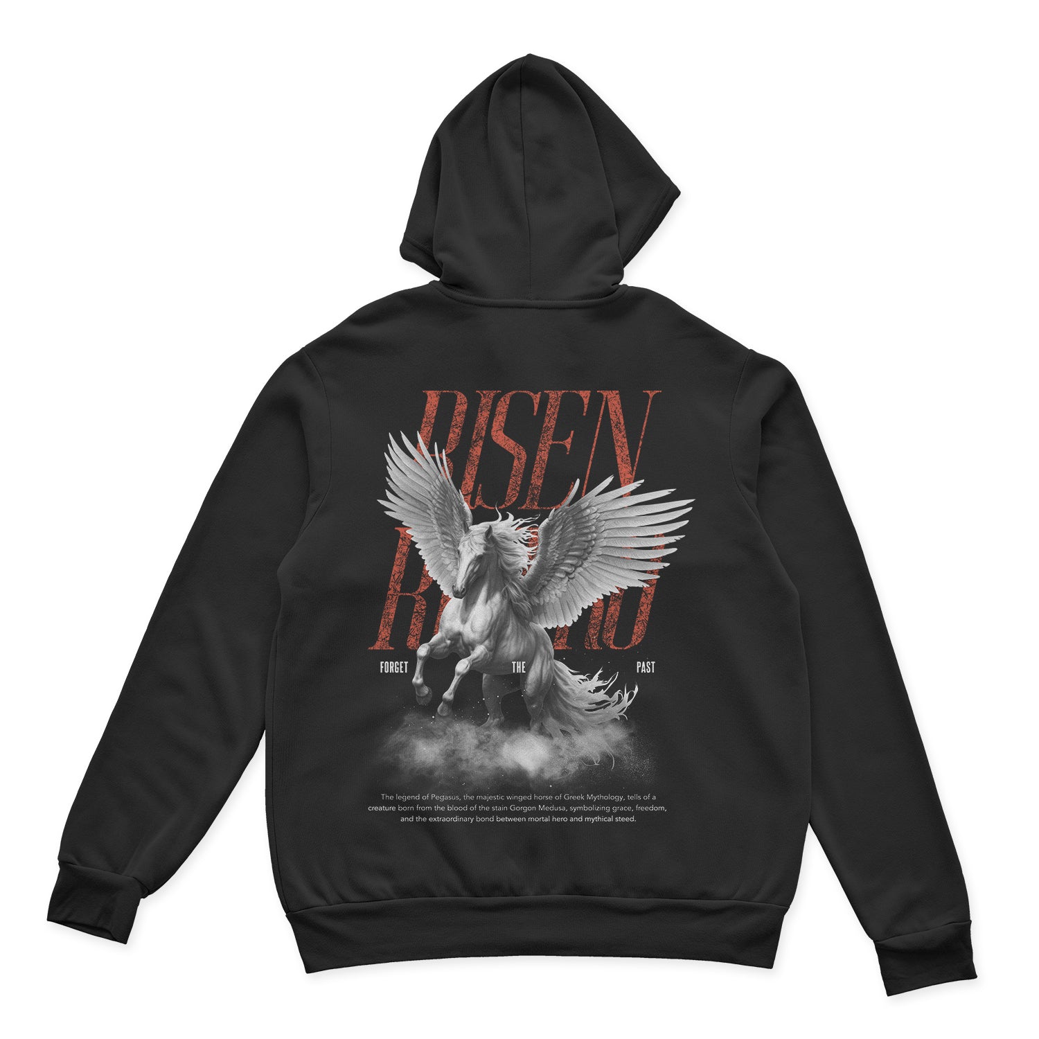 Pegasus X Risen Retro Heavy 380GSM Hoodie - risenretro