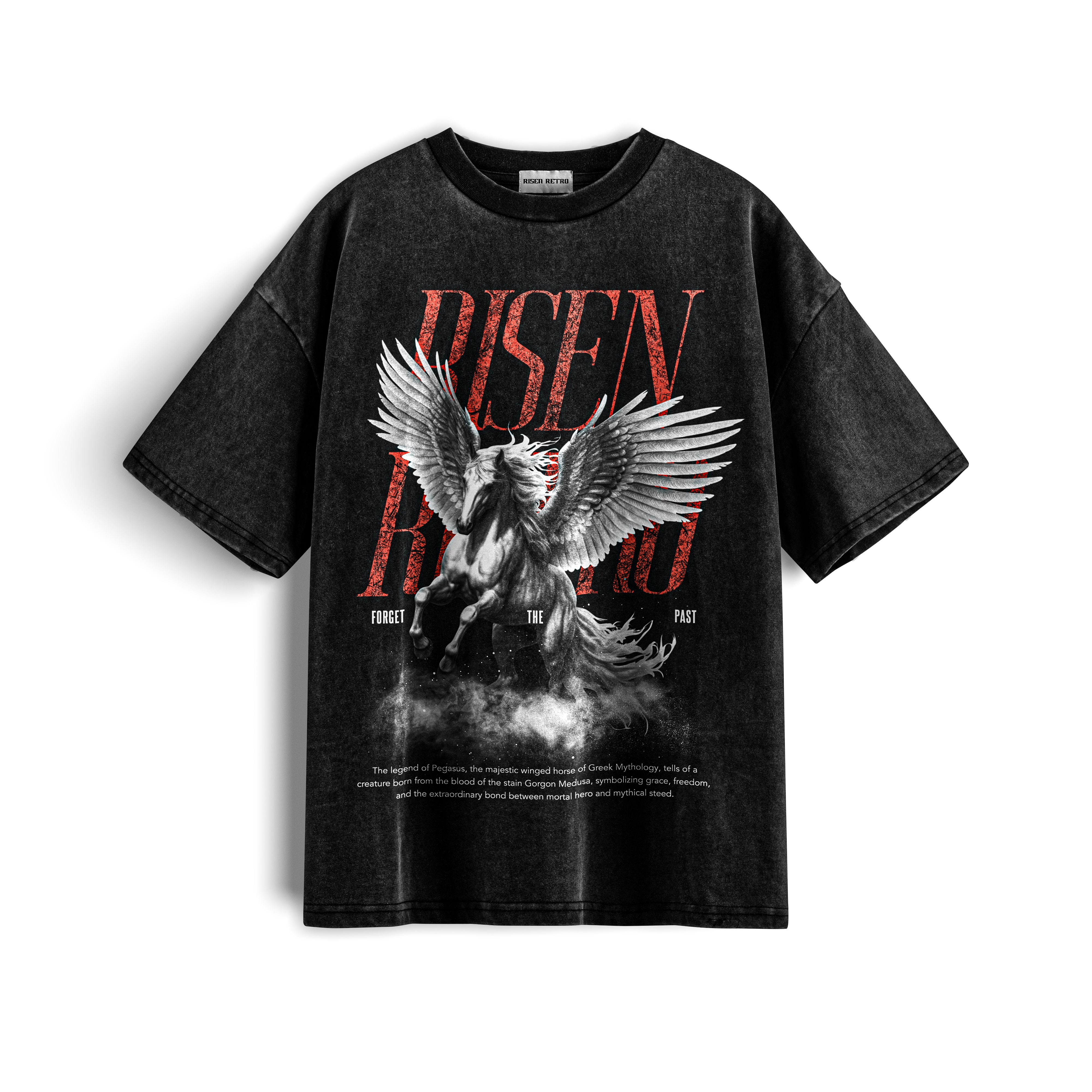 Pegasus Acid Wash X RisenRetro Oversized Heavyweight 240GSM T-Shirt - risenretro