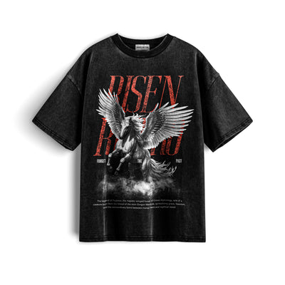 Pegasus Acid Wash X RisenRetro Oversized Heavyweight 240GSM T-Shirt - risenretro